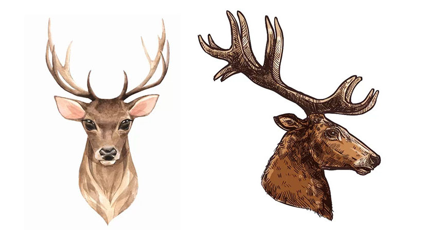 Bitmap (Raster) vs Vector Graphics for Engraving