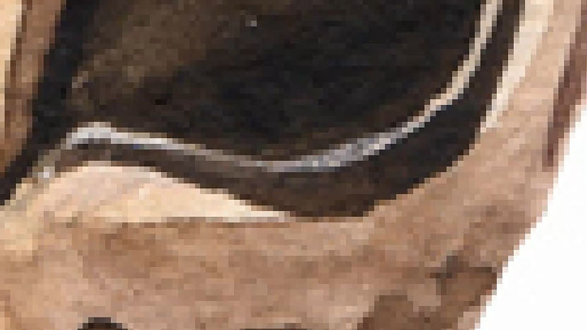 A raster image's pixels can be easily seen when its size is increased. Close-up of a raster image with large pixels visible.
